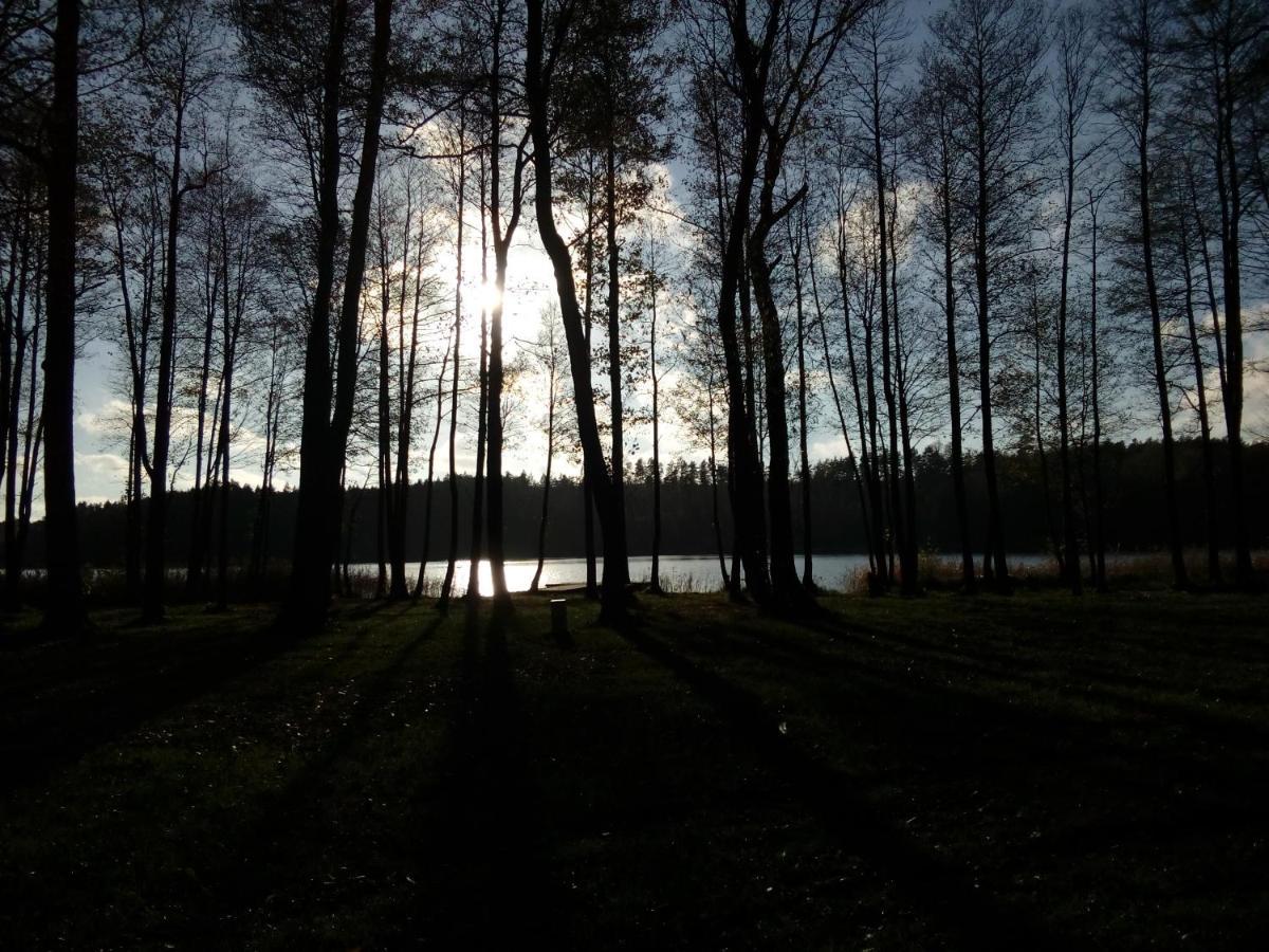 Domki Wczasowe Mazury - Ferienhaus Masuren - Do 12 Osob - Idealny Dla Grup Dluzek Екстериор снимка